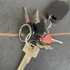 Sleutelbos، كما تم الإبلاغ عنه عبر iLost