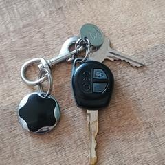 Sleutelbos met Suzuki autosleutel, as reported to iLost