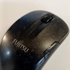 Ratolí, segons ha informat Padualaan 99 mitjançant iLost