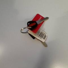 Kľúč, ako bolo nahlásené St. Antonius Ziekenhuis Utrecht pomocou iLost