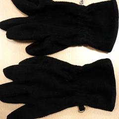 手袋 zwart がiLostで Arriva Vechtdallijnen によって報告されました