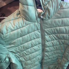 Veste Groen, a été signalé par Burgers' Zoo utilisant iLost