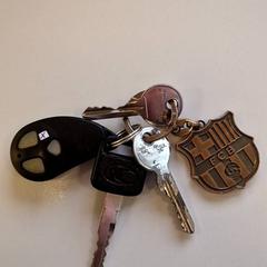 Chaves, segundo informou Vrije Universiteit Amsterdam usando iLost