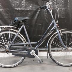 Kolo, jak nahlášeno Gemeente Nijkerk pomocí iLost