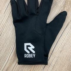 グローブ Zwart がiLostで Pathé Delft によって報告されました