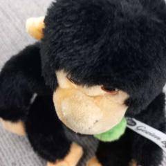 Leketøy, som rapportert av Arriva West-Brabant ved bruk av iLost