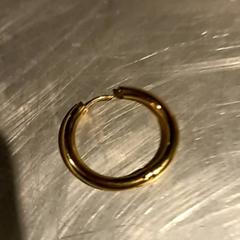 Ohrring, gemeldet von Paaspop über iLost