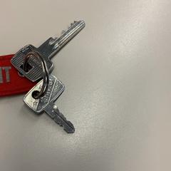 Klucze, zgłoszono przez Gemeente Wijk bij Duurstede przy użyciu iLost