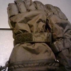 Eskularruak, gisa salatu by SnowWorld Landgraaf iLost erabiliz