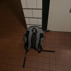 Grey backpack, iLost에 보고됨