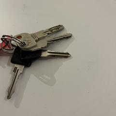 Sleutelbos, jak bylo nahlášeno na iLost