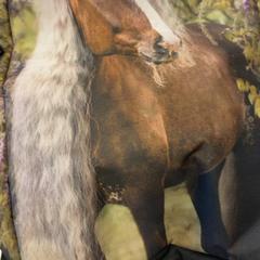 Táska, amint azt GVB az iLost segítségével jelentette.