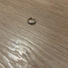 Earring, as reported by Van der Valk Hotel Eindhoven - Best using iLost