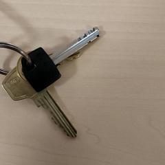 Llave, ha sido reportado por Centraal magazijn con iLost