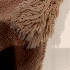 Mazlící hračka, jak nahlášeno De Efteling pomocí iLost