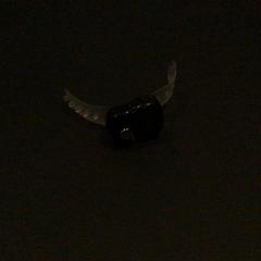 Cronómetro, como reportado por Van der Valk Hotel Amsterdam Zuidas utilizando o iLost