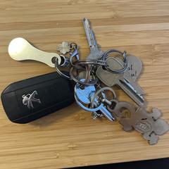 Sleutelbos, como reportado ao iLost