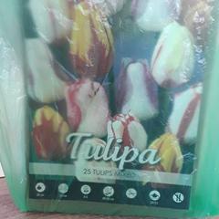 Bolsa, ha sido reportado por EBS Tramplein con iLost