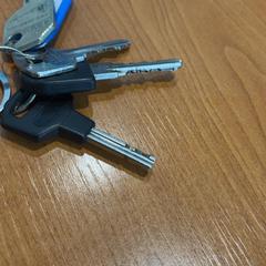 المفاتيح، كما تم الإبلاغ عنه بواسطة Arriva Achterhoek-Rivierenland عبر iLost