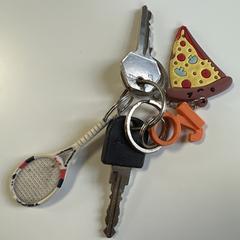 Sleutelbos, segons s'ha informat a iLost