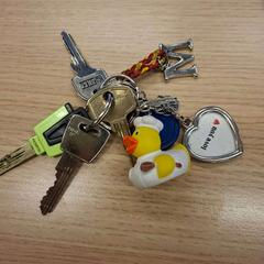 Chaveiro, como reportado por Feyenoord Rotterdam utilizando o iLost