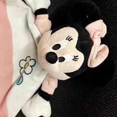 Spielzeug Rose Minnie Mouse, gemeldet von IKEA Clermont Ferrand über iLost