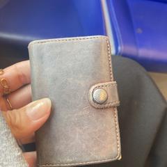 Portomonee bruin, iLost'a bildirildiği gibi