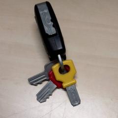 Joguina, segons ha informat Arriva Oost-Brabant mitjançant iLost