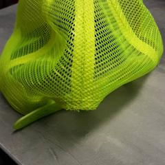 Casquette Groen, a été signalé par Arriva Friesland / Groningen utilisant iLost