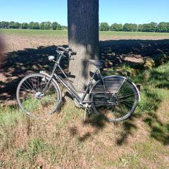 fiets, som rapporterats till iLost