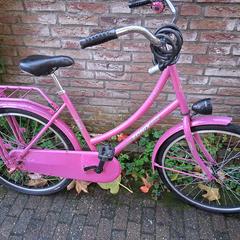 Roze meisjesfiets, segons s'ha informat a iLost