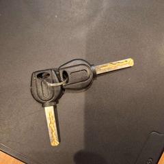 Kľúč, ako bolo nahlásené Politiezone Rivierenland pomocou iLost