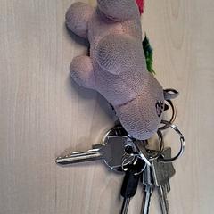 Chiavi, come riportato da Connexxion Haarlem IJmond utilizzando iLost