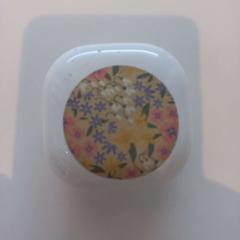 Earphone case, as reported by Arriva Limburg Zuid using iLost