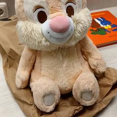 Toy Knuffel, as reported by Hotel van der Valk Maastricht using iLost