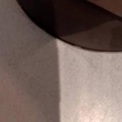 Sonnenbrille, gemeldet von De Efteling über iLost