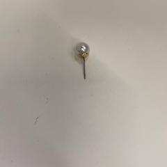 Earrings, as reported by IKEA鶴浜 using iLost