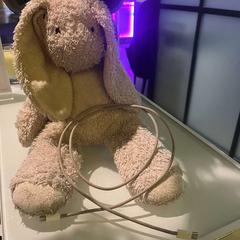 Miś, zgłoszono przez Room Mate Bruno przy użyciu iLost