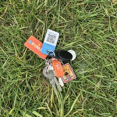 Sleutelbos, jak zgłoszono do iLost