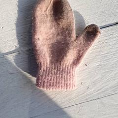 Guante Roze, ha sido reportado por DierenPark Amersfoort con iLost