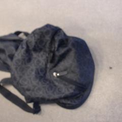 Tas Zwart, segons ha informat Walibi Holland mitjançant iLost