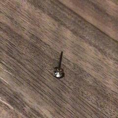 Ohrring, gemeldet von Van der Valk Hotel Zwolle über iLost