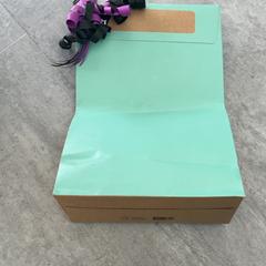 تاسجي، كما تم الإبلاغ عنه بواسطة Arriva Achterhoek-Rivierenland عبر iLost