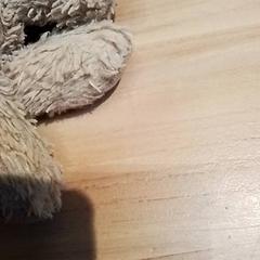 Knuffel, as reported by Beekse Bergen Resorts en Hotel using iLost