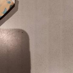 Suvenir, som rapportert av De Efteling ved bruk av iLost