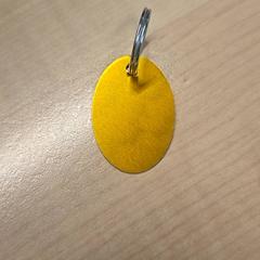 Prívesok na psí obojok, as reported by IKEA Bratislava using iLost