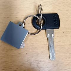 Chiave Fiets, come riportato da Qbuzz GD Groningen Peizerweg utilizzando iLost