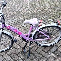 Bicycle Paars, as reported by Stadswerk072 using iLost
