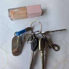 Sleutelbos, som rapporterats till iLost