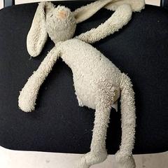 كنوفل Konijn، كما تم الإبلاغ عنه بواسطة Qbuzz GD Groningen HS عبر iLost